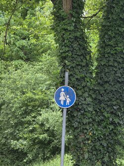Samsung (33).jpg