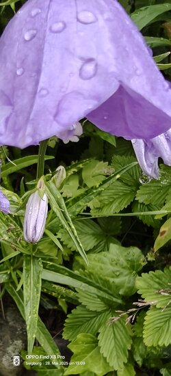 IMG20250528130918.jpg