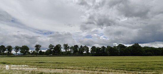 IMG20250528130633.jpg