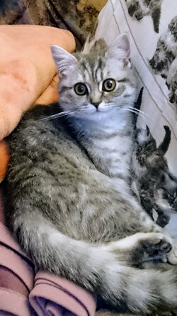 Emmi_0612.JPG