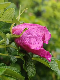 IMG20250528182152~2.jpg