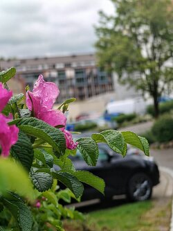 IMG20250528182343~2.jpg
