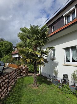 20250528_164327.jpg