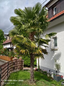 IMG_20250528_164325.jpg