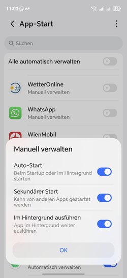 Screenshot_20250529_110317_com_hihonor_systemmanager_StartupAppControlActivity.jpg