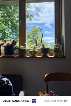 1000003267.jpg