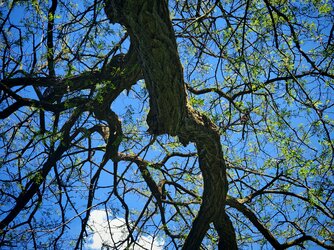IMG_20250501_144907.jpg