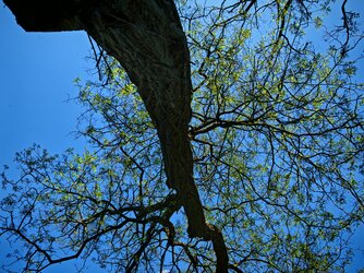 IMG_20250501_144918.jpg