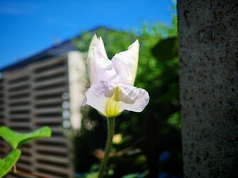IMG_20250510_135654.jpg