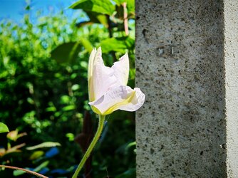 IMG_20250510_135700.jpg