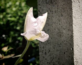 IMG_20250510_135723.jpg