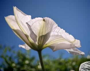 IMG_20250511_113815.jpg