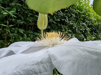 IMG_20250515_135726.jpg