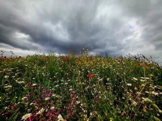 IMG_20250522_114355.jpg