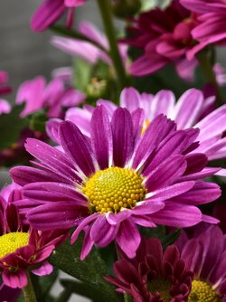 IMG_20250518_084455.jpg