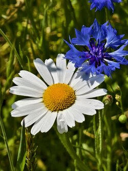 IMG_20250513_153816.jpg