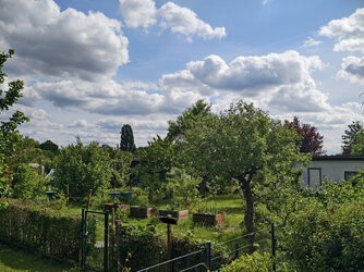 1000002950 12MP zu 20MP.jpg