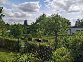 1000002951 50MP zu 20 MP.jpg