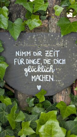 PXL_20250529_110559752.jpg