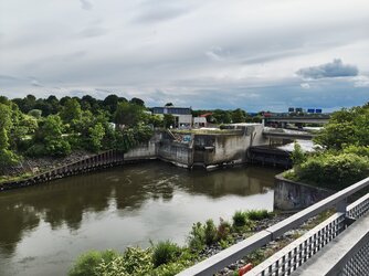 IMG_20250529_173620727.jpg