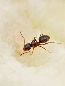 IMG_20250529_184646.jpg