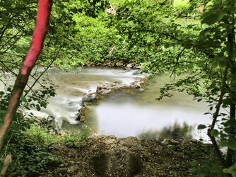 IMG_20250529_162522.jpg