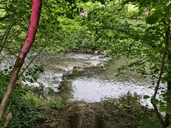 IMG_20250529_162504.jpg