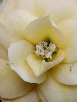 IMG_20250524_181611.jpg