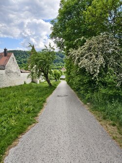 IMG_20250518_171231.jpg