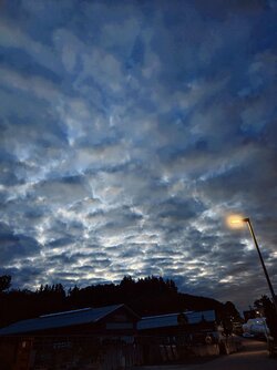 IMG20250529213350~3.jpg