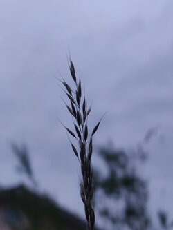 IMG20250529211628.jpg