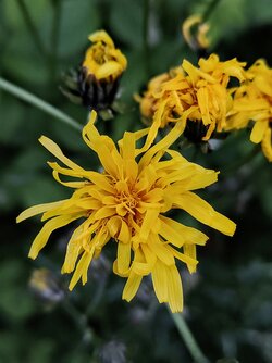 IMG20250529210932~2.jpg