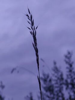 IMG20250529211641.jpg