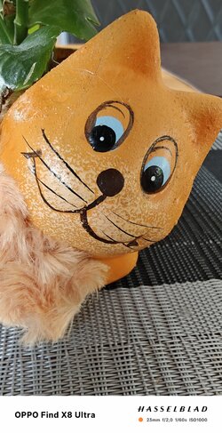 IMG20250530103650_121413.jpg