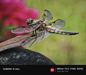 IMG_20250530_134623.jpg