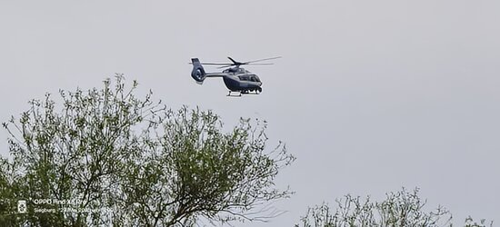 IMG20250529190055.jpg