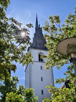 IMG_20250530_095655.jpg
