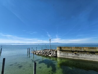 IMG_20250530_095944.jpg