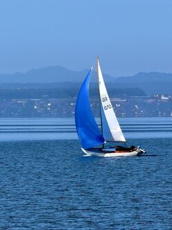 IMG_20250530_100005.jpg