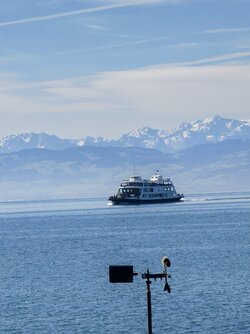 IMG_20250530_100137.jpg
