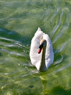 IMG_20250530_131138.jpg