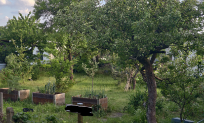 50MP zu 20MP Crop Natur.png