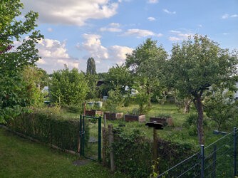 1000002969 von 50MP zu 20MP.jpg