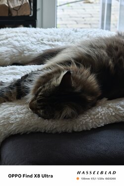 IMG_20250530_205634.jpg
