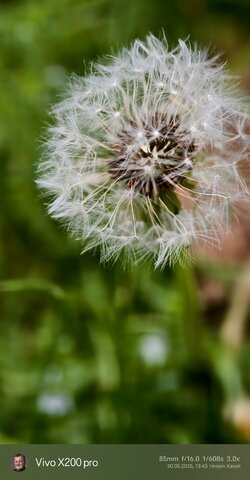 IMG_20250530_134348.jpg