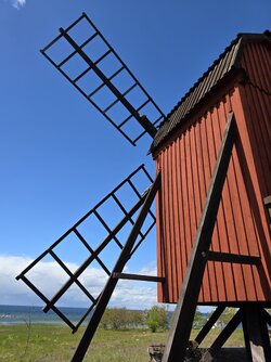20250523_133720.jpg