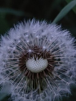 IMG20250530212937~2.jpg