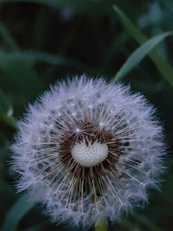 IMG20250530212952~2.jpg