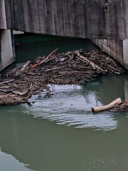 IMG20250530212315~2.jpg