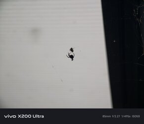 1000002980.jpg
